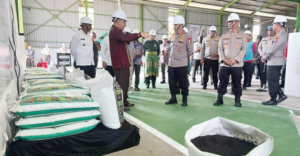 Sorotan Baru Seputar Pupuk Batubara Riau yang Menarik Perhatian