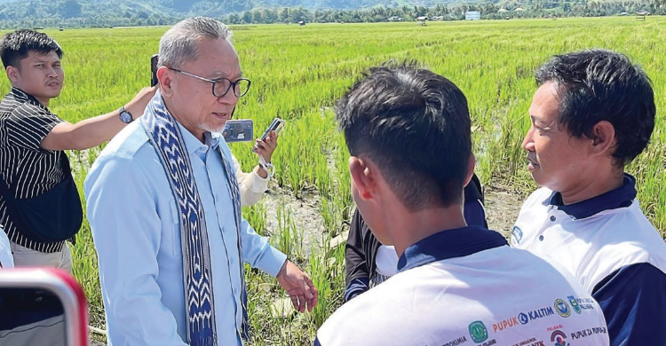 pupuk subsidi mudah - ilustrasi berita Pupuk Subsidi Mudah: Zulhas Tegaskan Akses Pupuk Subsidi Lebih Mudah Usai…