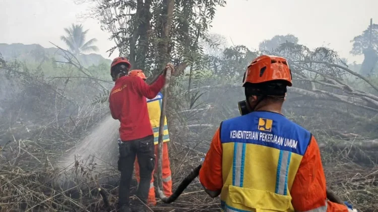 kebakaran hutan - ilustrasi berita Tim Gabungan Padamkan Kebakaran Hutan 100 Hektare di Tahura Senami, Jambi